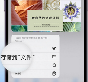 海沧apple维修中心分享iPhone文件应用中存储和找到下载文件