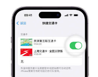 海沧apple维修点分享iPhone上更换Apple Pay快捷交通卡手绘卡面 