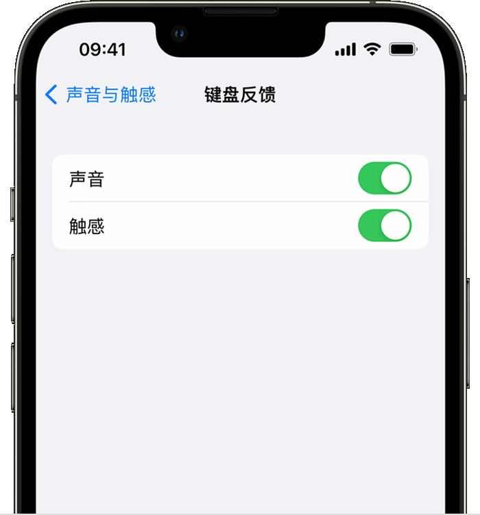 海沧苹果14维修店分享如何在 iPhone 14 机型中使用触感键盘 