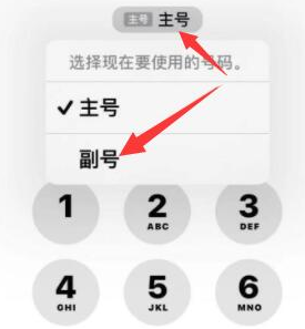 海沧苹果14维修店分享iPhone 14 Pro Max使用副卡打电话的方法 