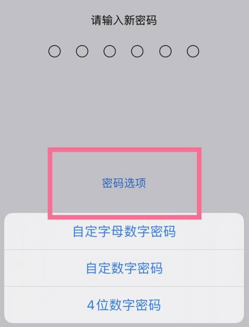 海沧苹果14维修分享iPhone 14plus设置密码的方法 