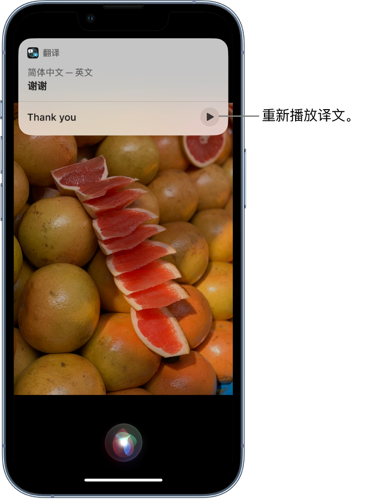 海沧苹果14维修分享 iPhone 14 机型中使用 Siri：了解 Siri 能帮你做什么 