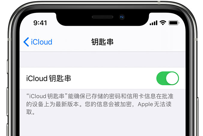 海沧苹果手机维修分享在 iPhone 上开启 iCloud 钥匙串之后会储存哪些信息 